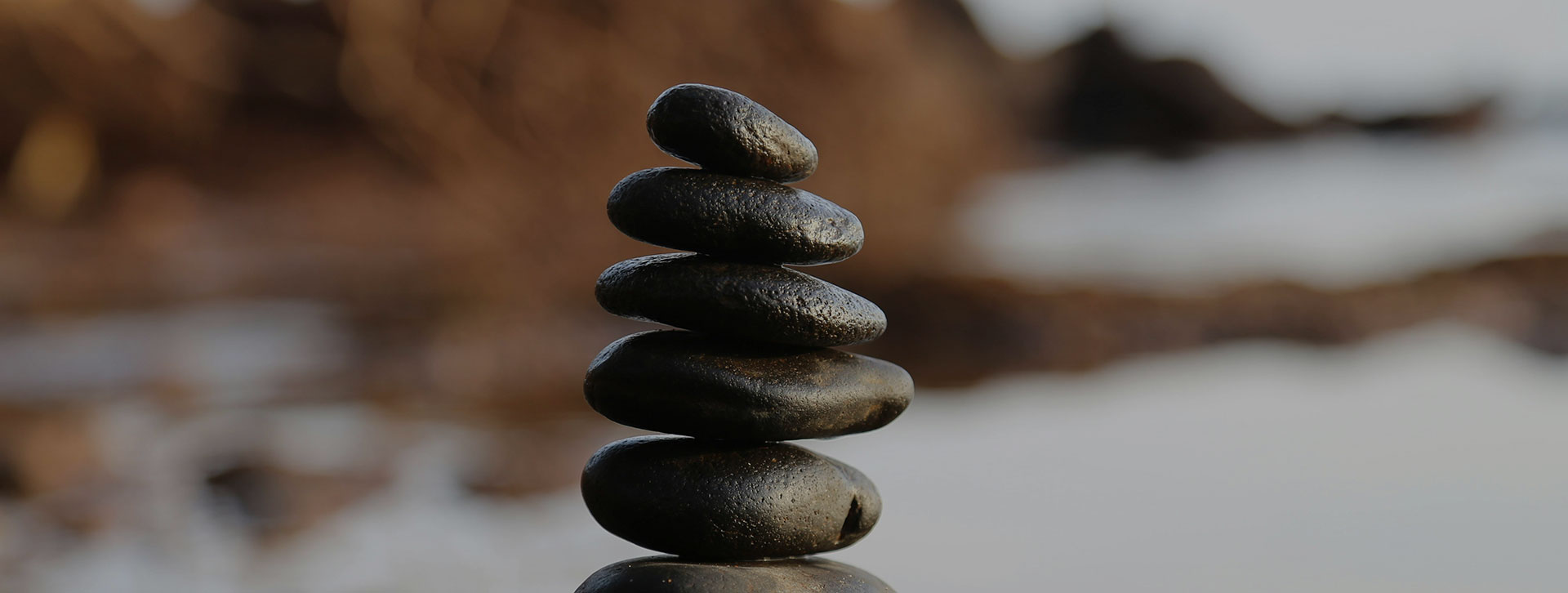 Finding Balance in Life: Embracing the Sweet Spot