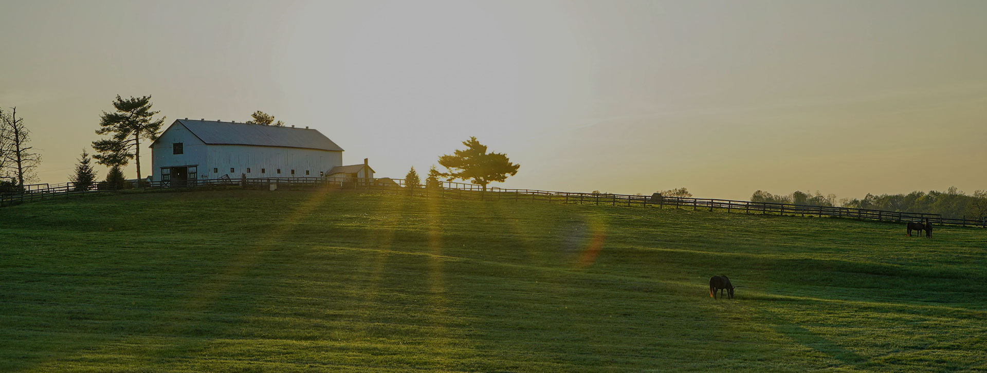 The Suicide Epidemic in Rural America: Understanding and Addressing a Growing Crisis