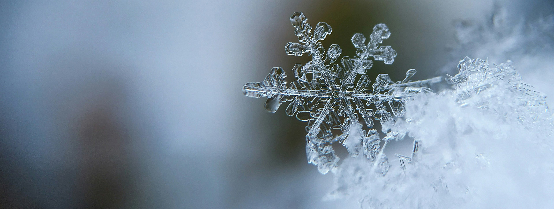 Seasonal Affective Disorder (SAD): Understanding and Managing the Winter Blues